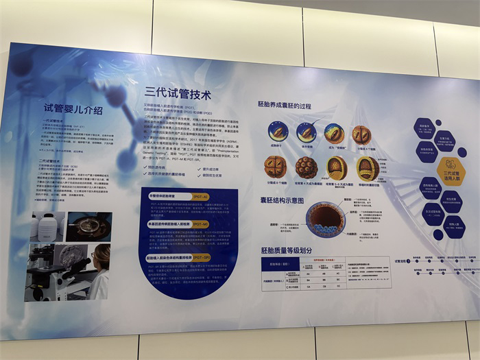 海外分公司-第2张图片